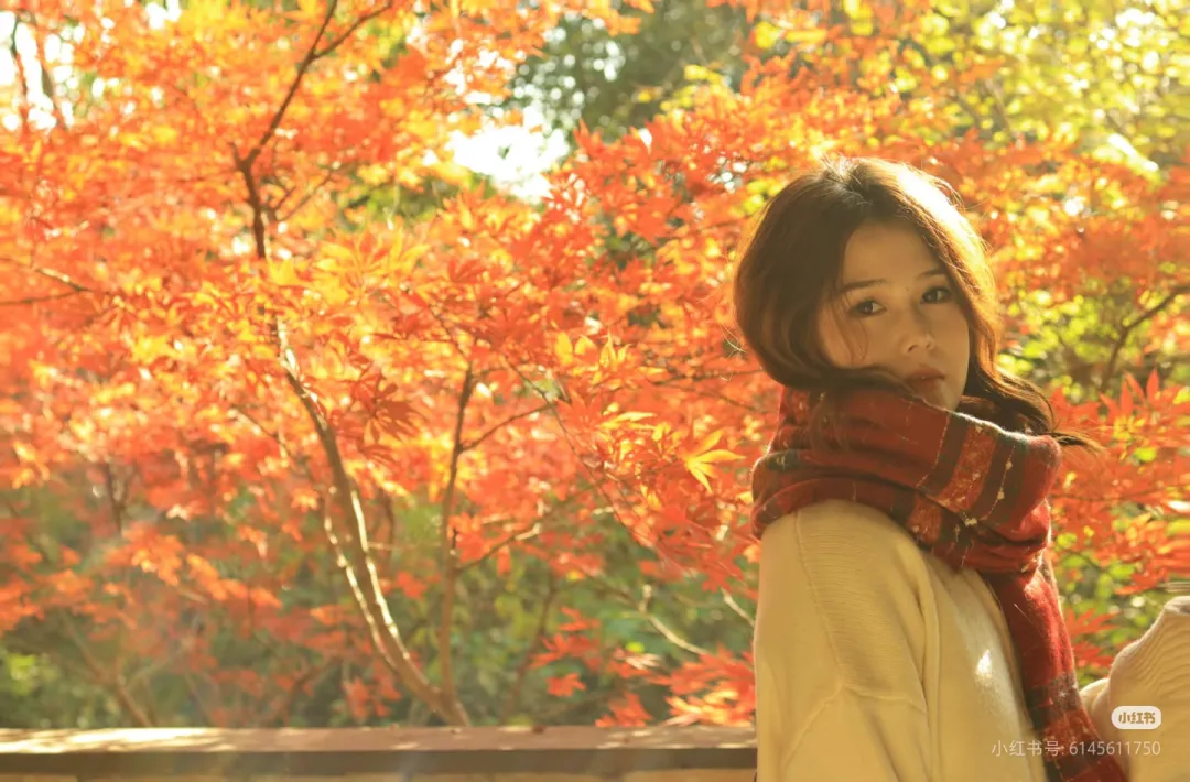 79f9ed4612ff6035cf97aeb8fc2219df-sz_816761