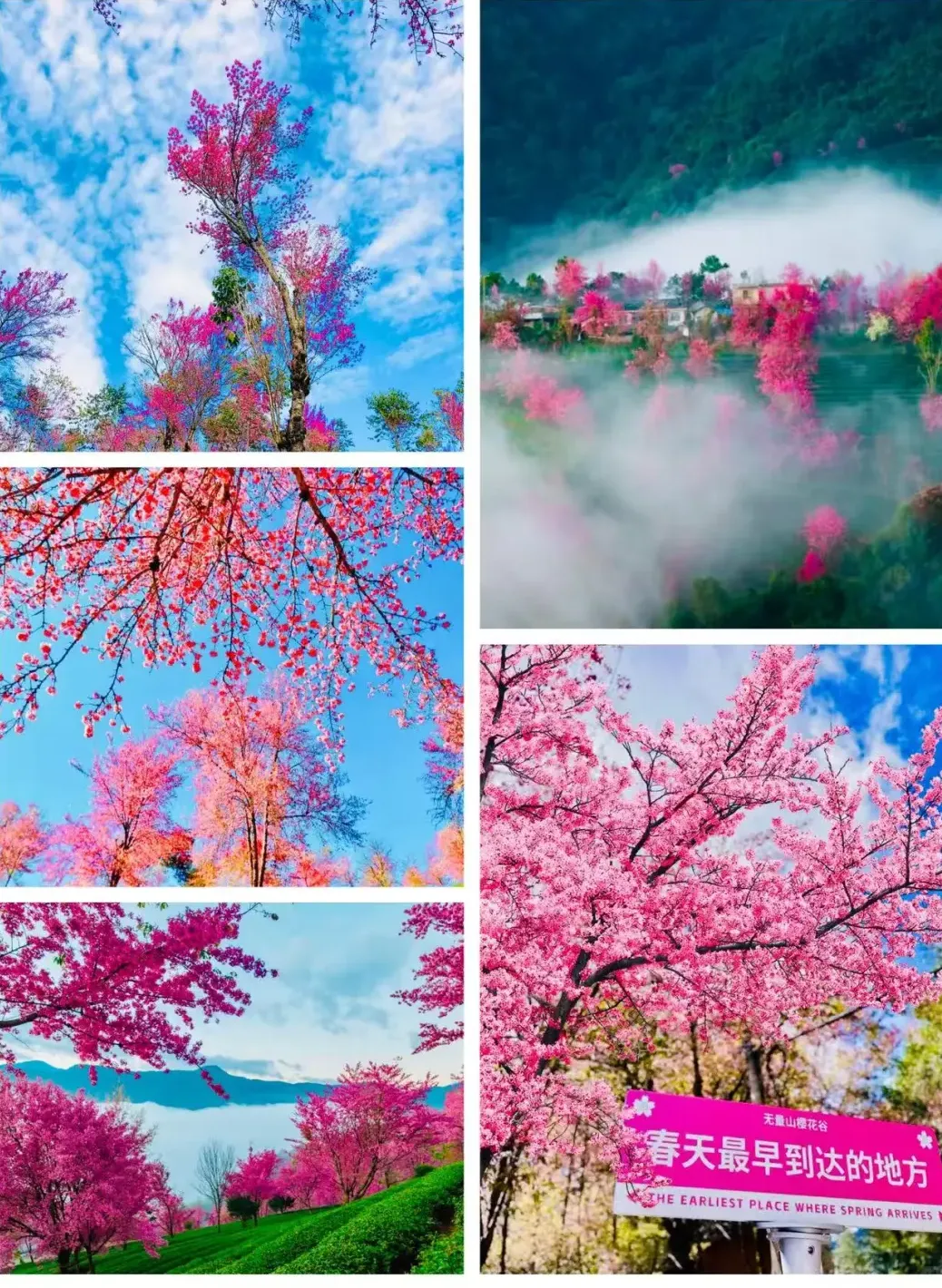 7a0f66d8417fcc28c1a91210a4beadae-sz_3883685-1 7a0f66d8417fcc28c1a91210a4beadae-sz_3883685-1