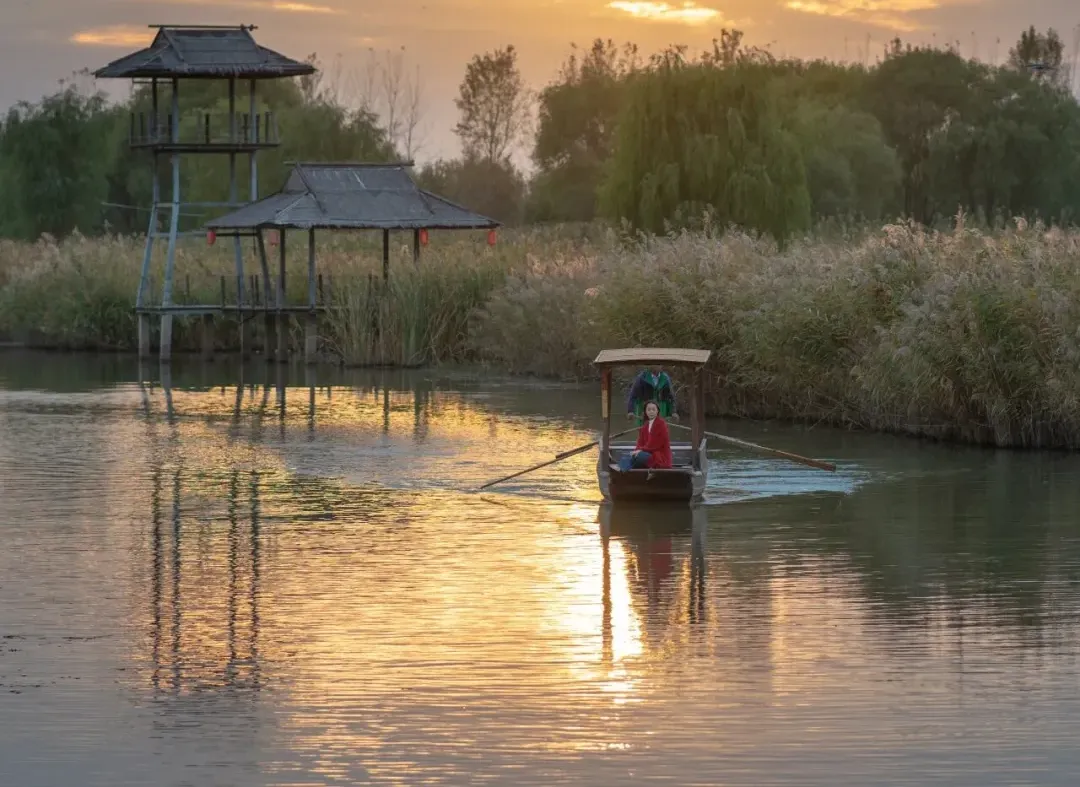 7a28656dafc929ea9bcd66673f455134-sz_1232741