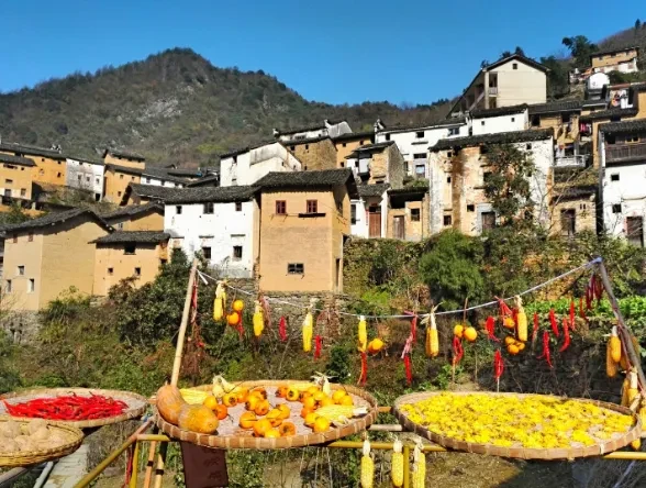 7a299d8843d4443a8757d300baa7f826-sz_602752 7a299d8843d4443a8757d300baa7f826-sz_602752