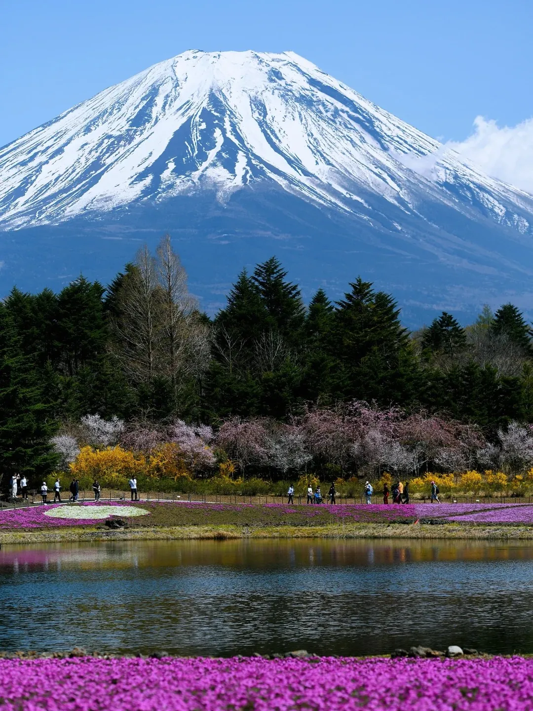 7a2d8fd6f59230bdd63629d405f3dda4-sz_638689 7a2d8fd6f59230bdd63629d405f3dda4-sz_638689