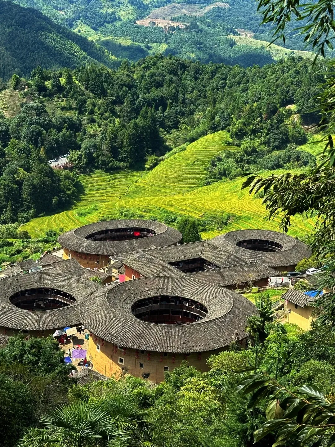 7a3954256b8f4b8d4d3e40b16d20e338-sz_894444 7a3954256b8f4b8d4d3e40b16d20e338-sz_894444