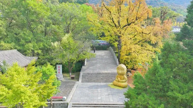 7a3d46a9dd0d5e4eded2ca944be55170-sz_124609-1 7a3d46a9dd0d5e4eded2ca944be55170-sz_124609-1