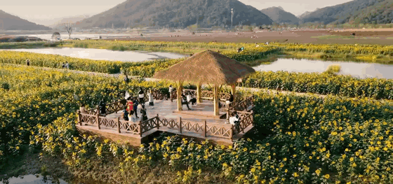 7a5fab48eda3d7dccf66719dfe2eb4b6-sz_4224177 7a5fab48eda3d7dccf66719dfe2eb4b6-sz_4224177