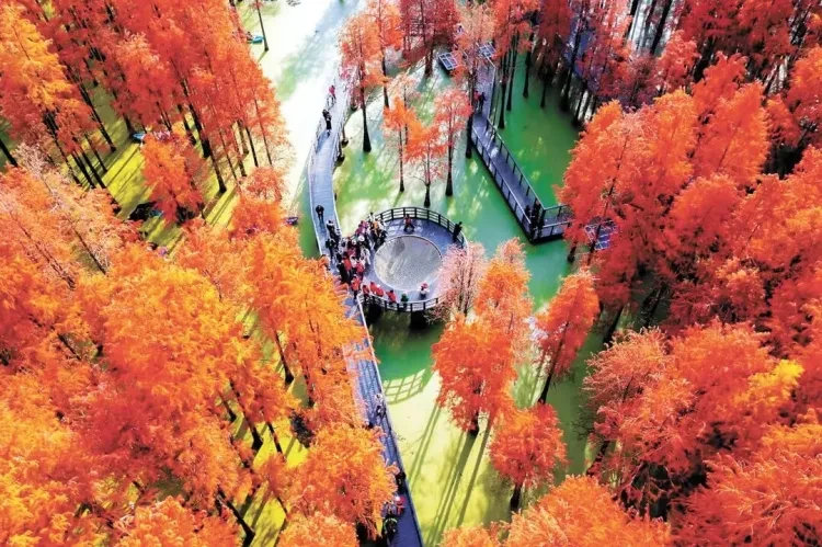 7a7f6ad6948457179dc656daa1da7eea-sz_239870