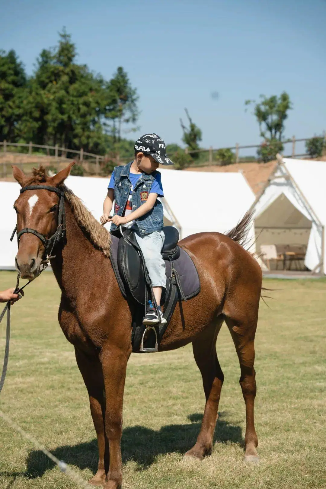 7a9ba027d9c6ef71e84b40f599b626ec-sz_208448