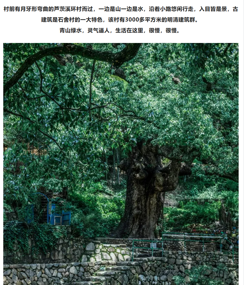 7aa63b8fee095c8a7095245dbb6f208e