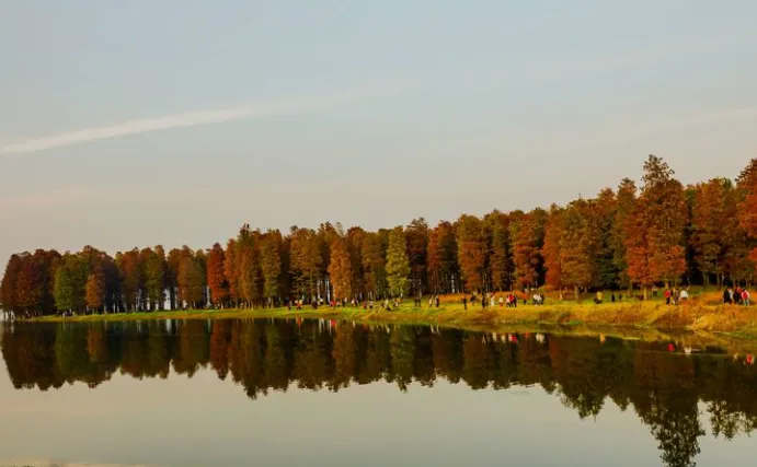 7aea9c93c4228cd3bf2ffbfda5bb2075-sz_324440-1 7aea9c93c4228cd3bf2ffbfda5bb2075-sz_324440-1