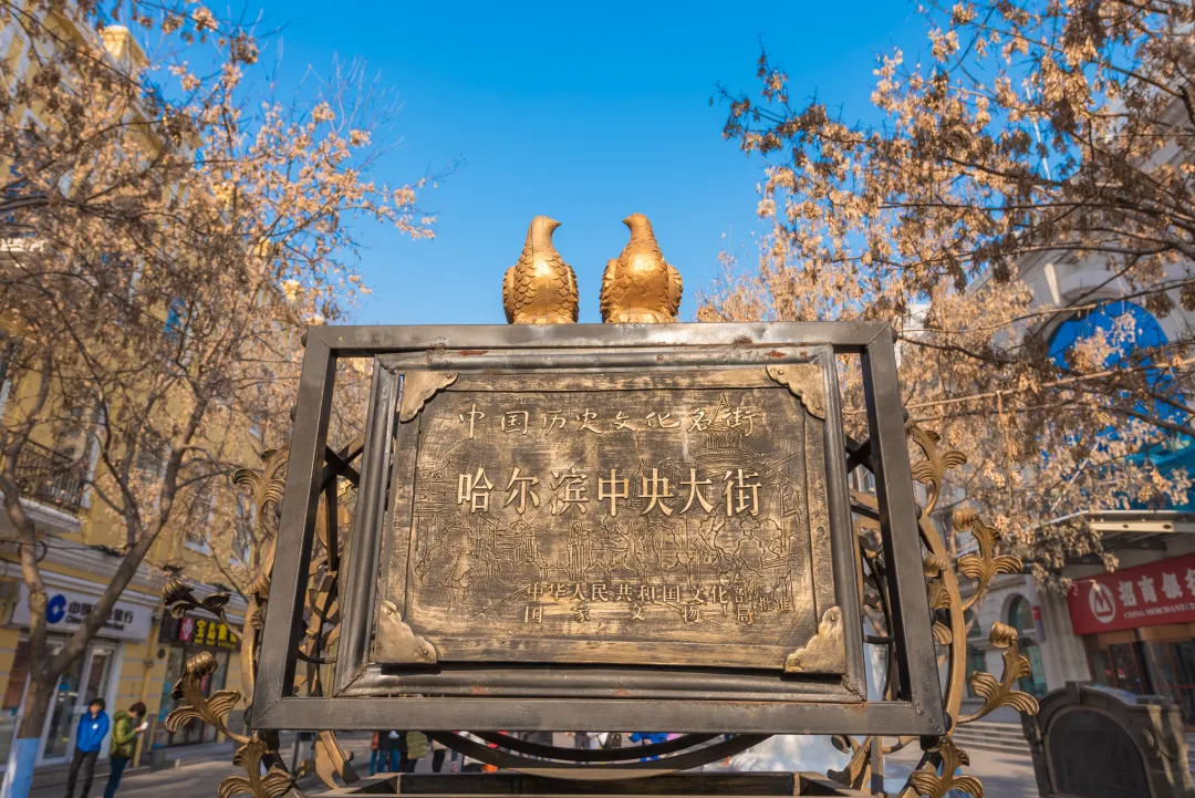 7b6a6a2e44fe1de592482e55ab5fd5ed-sz_4907644