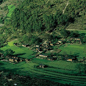 7ba088de3f3c51b6c01406fc39489824-sz_116540