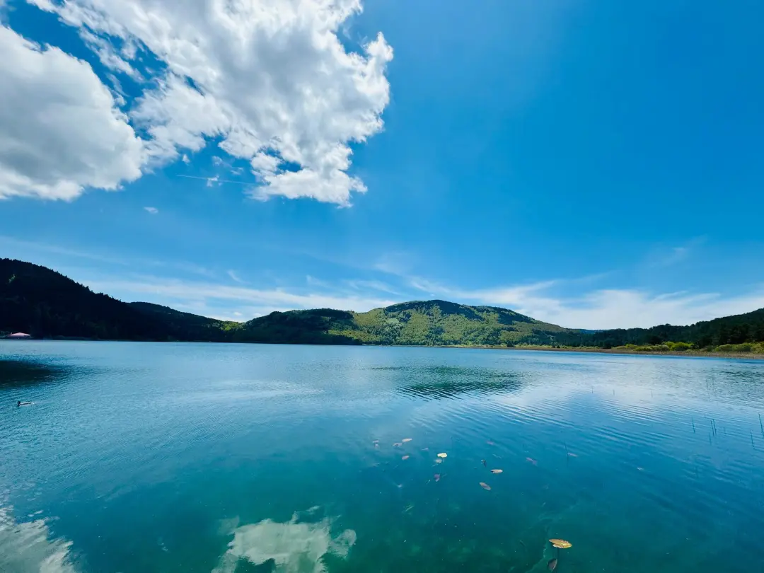 7bc50bb6e761c6d54feb8f2768ac795a-sz_421275 7bc50bb6e761c6d54feb8f2768ac795a-sz_421275