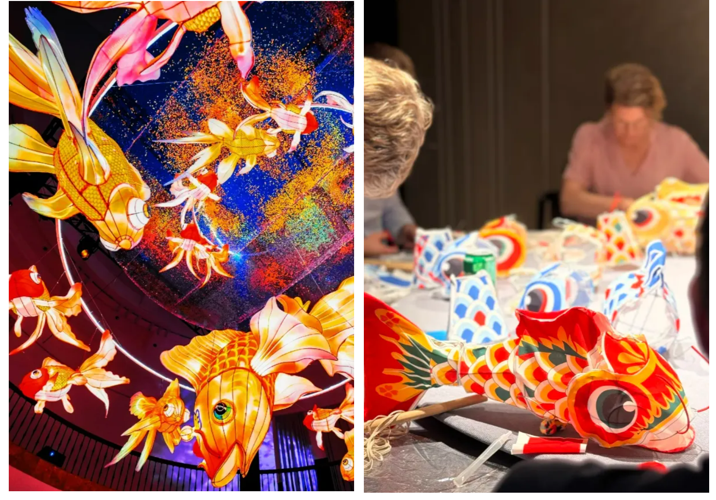 7bd329a9527eabbcb432e43c7679b75f 7bd329a9527eabbcb432e43c7679b75f