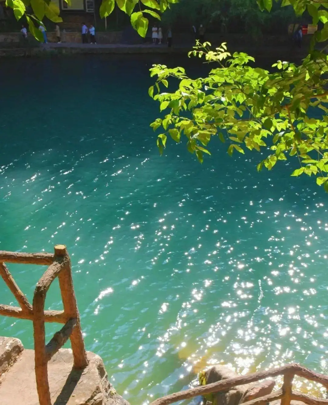 7bda7af63283fe7b298c79a330862d9a-sz_169417 7bda7af63283fe7b298c79a330862d9a-sz_169417