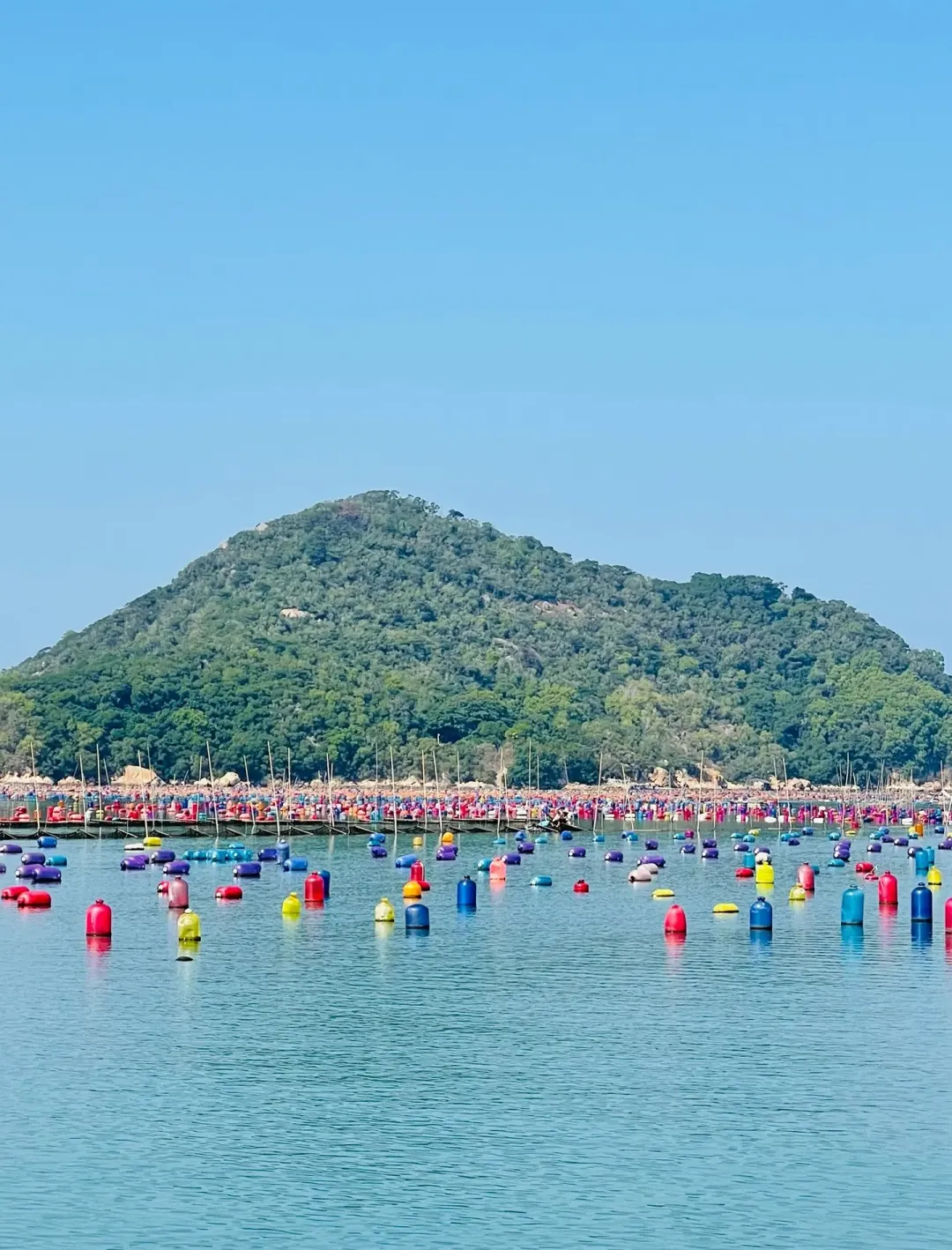 7bf846c18c52582aef271bda2a6412bd-sz_2909925