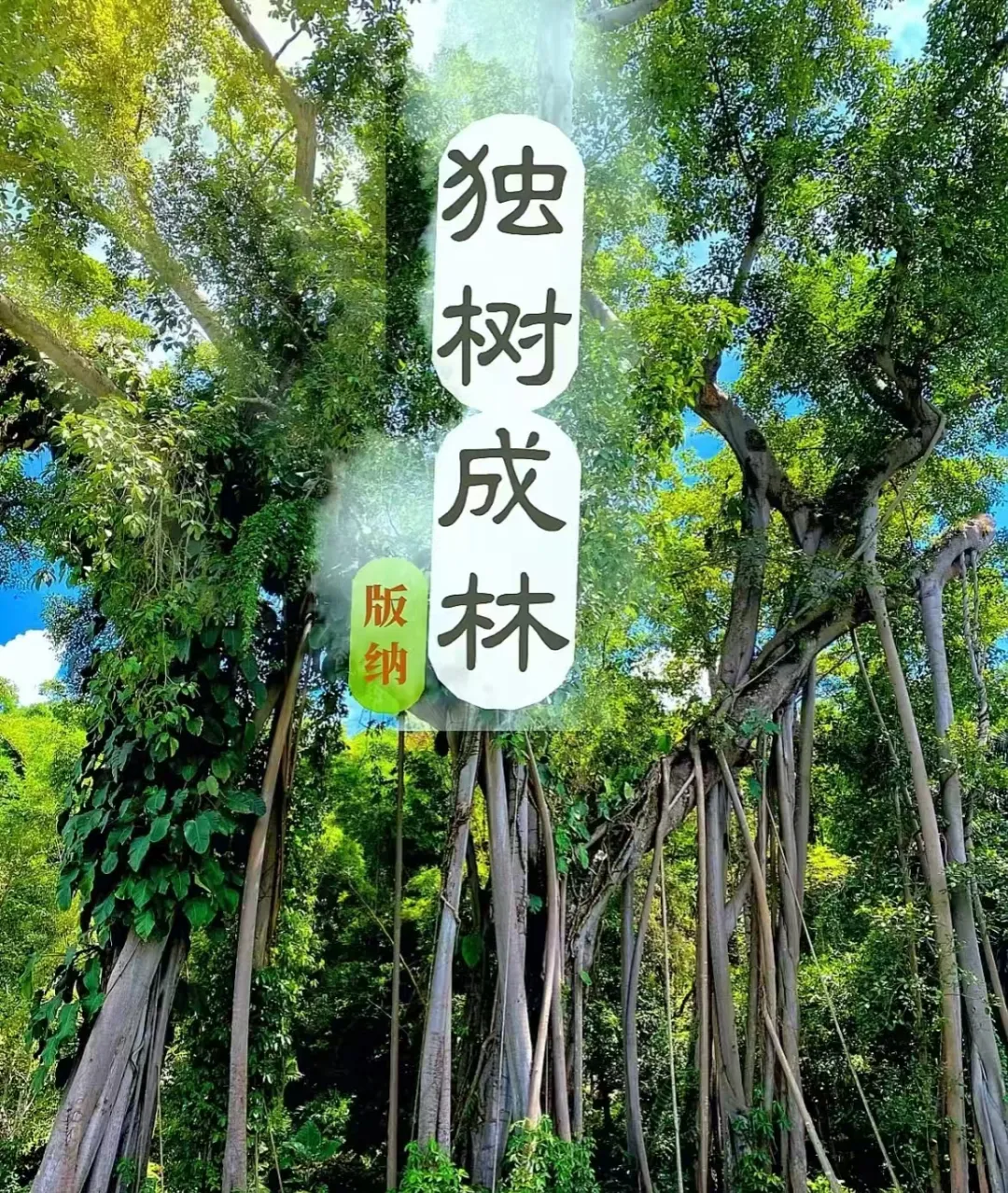 7c09fef7449f30c196f76be7d45bc399-sz_1856655 7c09fef7449f30c196f76be7d45bc399-sz_1856655