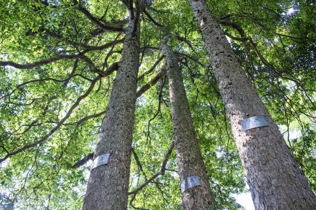 7c20fb261ee3fbb30f55d84f29a26b5e-sz_813544 7c20fb261ee3fbb30f55d84f29a26b5e-sz_813544