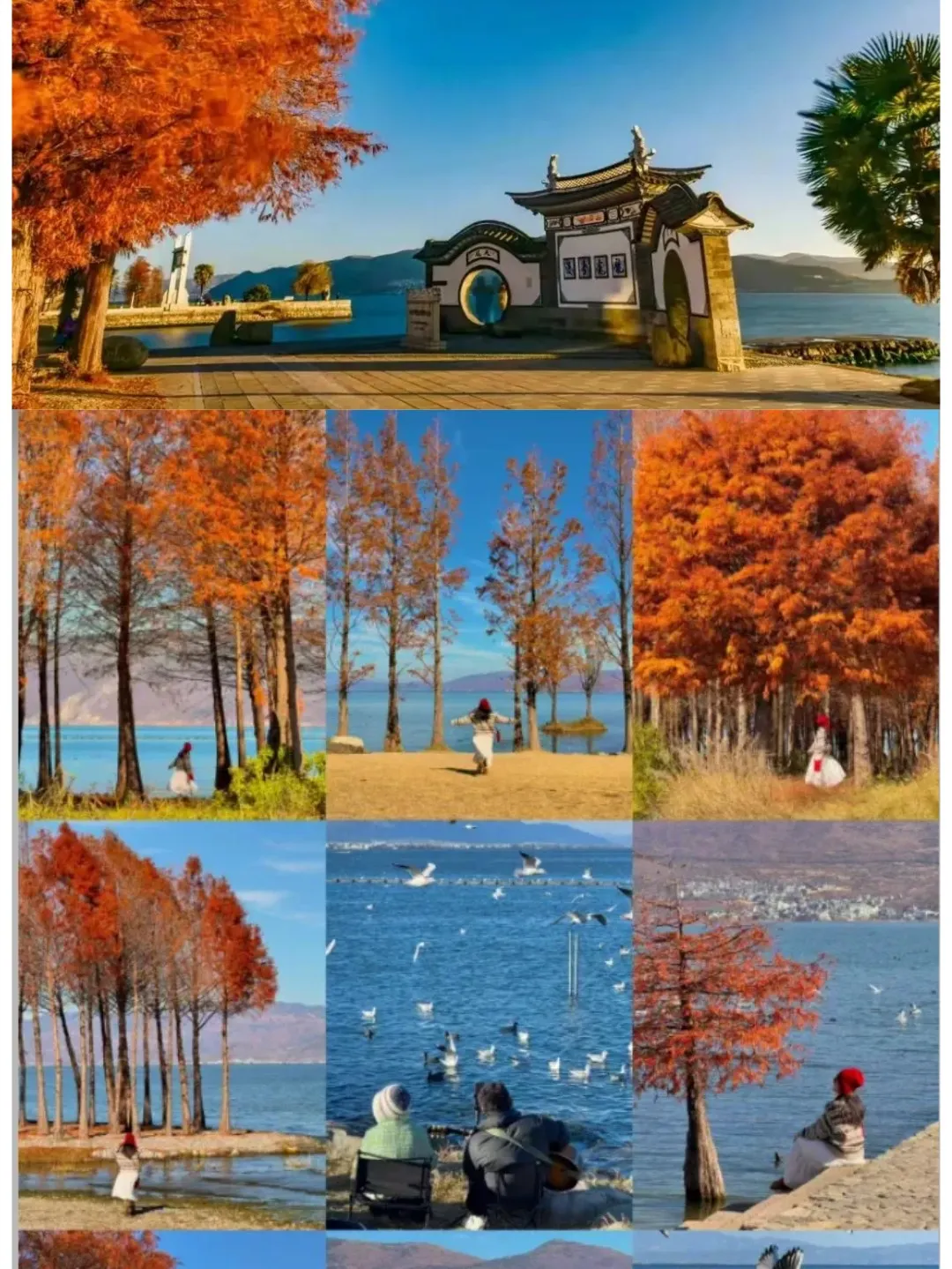 7c4a3f768aeccdc04f557a33a91c2191-sz_380872