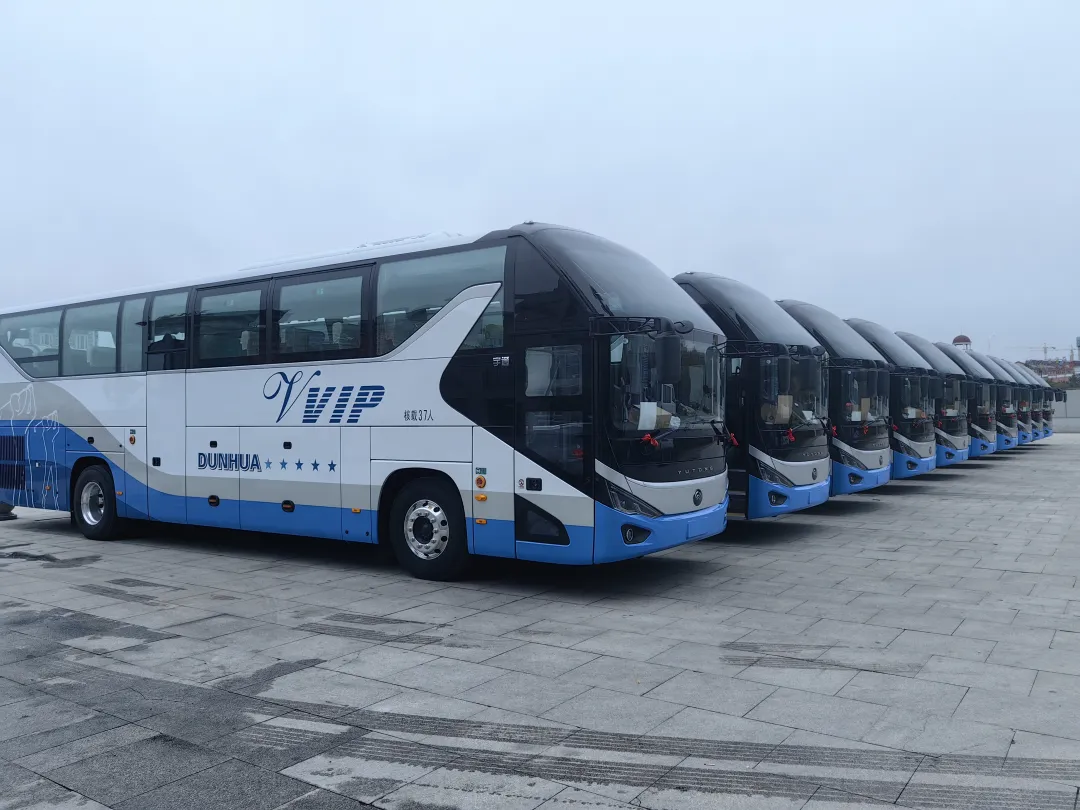 7c653c4d0921bbbeb2ba7376f1c21156-sz_5255836