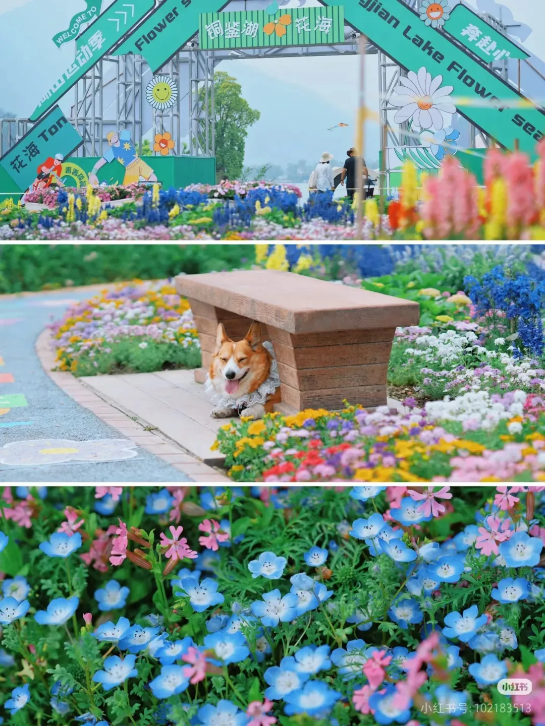 7c7b29eb6a7d0c48240a8a40a96034af-sz_597706