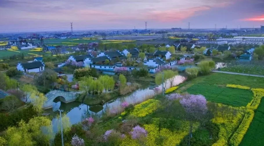 7cb29d6a48ebf8d65cd41454375d2fd4-sz_1212663 7cb29d6a48ebf8d65cd41454375d2fd4-sz_1212663