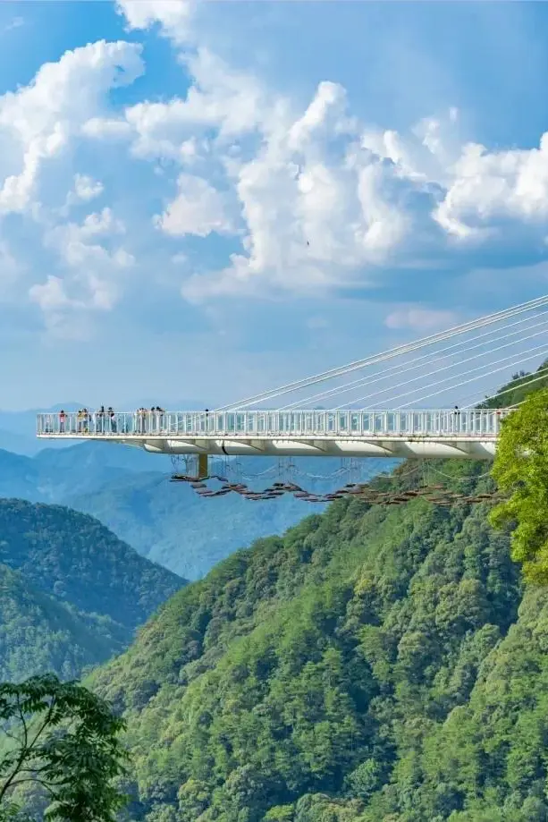 7ceecb20258c6fd67e4e83caa11fff82-sz_93583