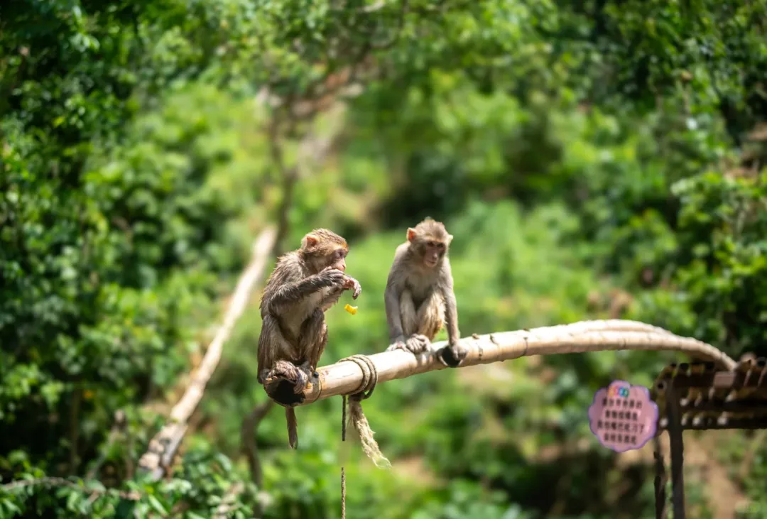 7d0038a0dd957a94d5221568d491e757-sz_4411080-1 7d0038a0dd957a94d5221568d491e757-sz_4411080-1