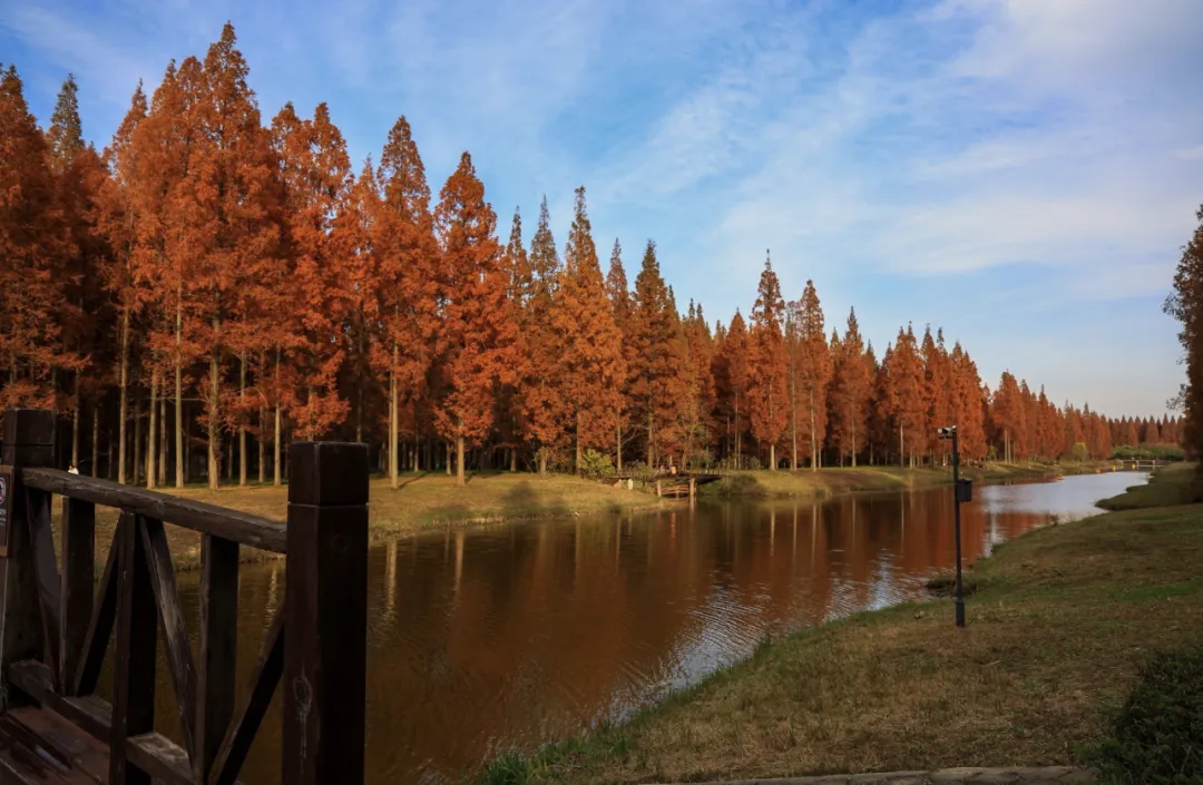 7d0eecbb07c4a284e0ef5cd95eb486aa-sz_1398042-1