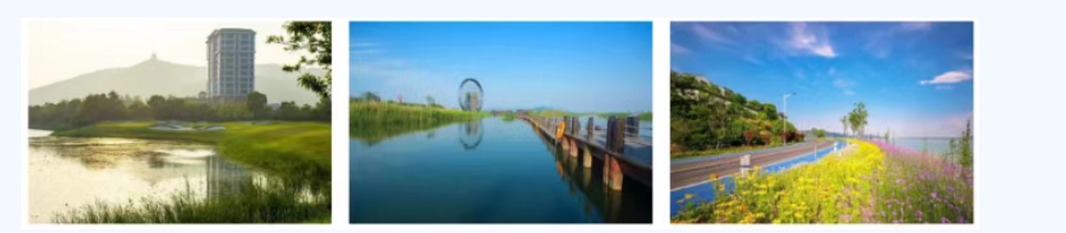 7d159fe2a15da590c537867c9558bf9b 7d159fe2a15da590c537867c9558bf9b