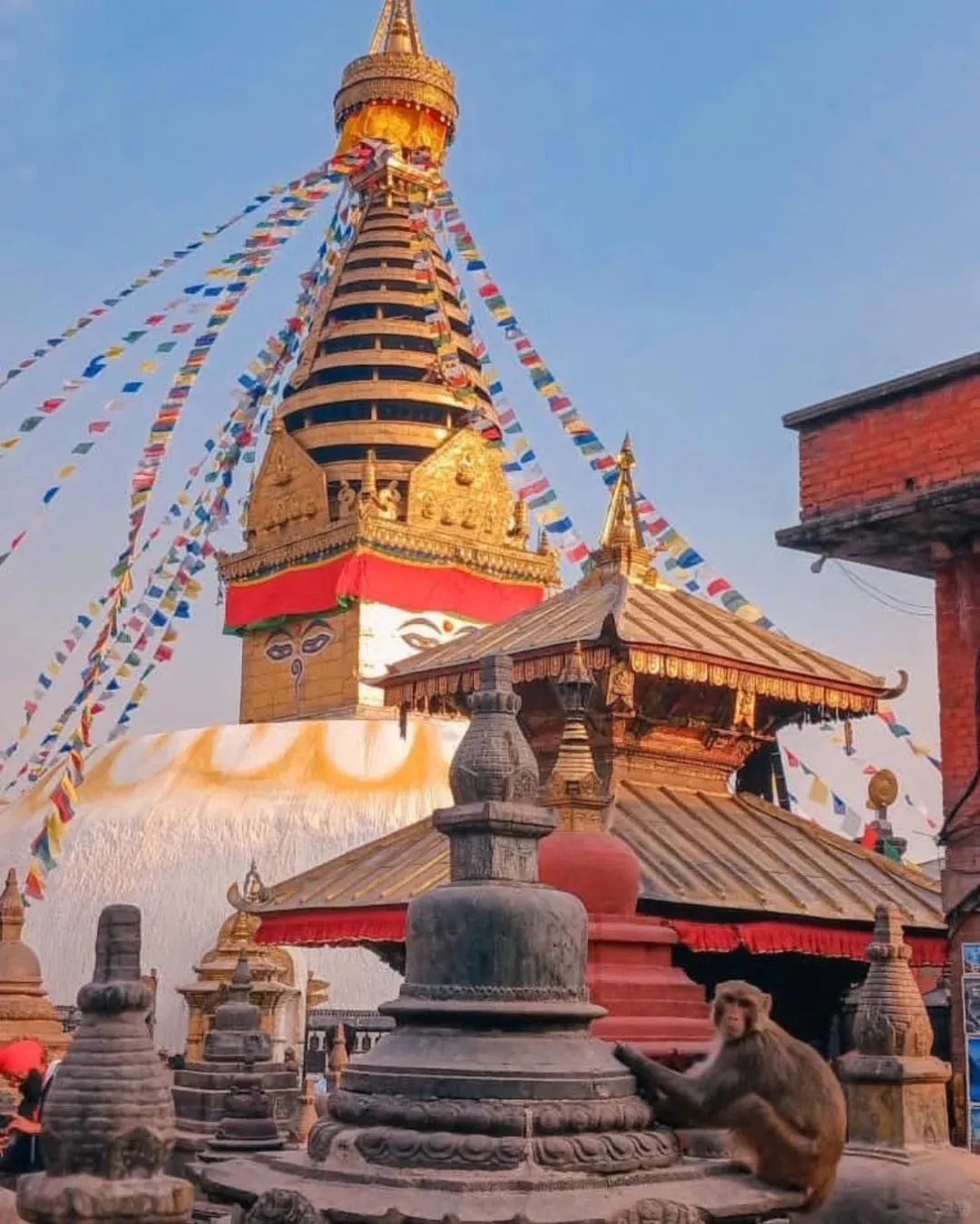 7d333af2fa0cb68e57ffe996908ab751-sz_297104