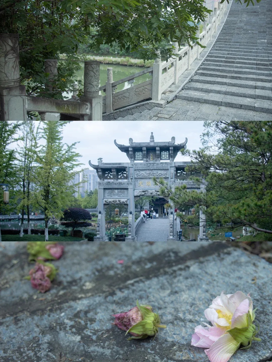 7d3a907488d73e718484cf9419e1c9dd-sz_3510975