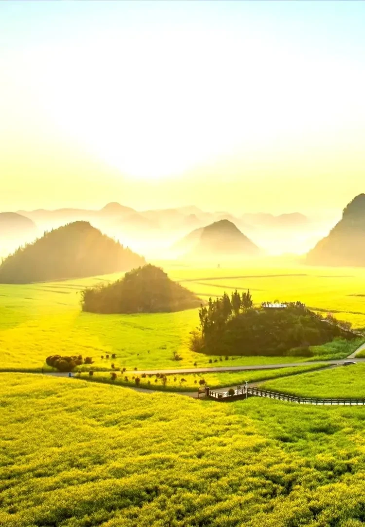 7d464269bfa97665de338c150ad2f6e9-sz_2410433