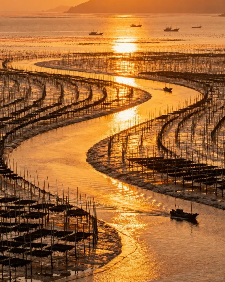 7dbb221aed723510b0cda688a574ba21-sz_3760508 7dbb221aed723510b0cda688a574ba21-sz_3760508