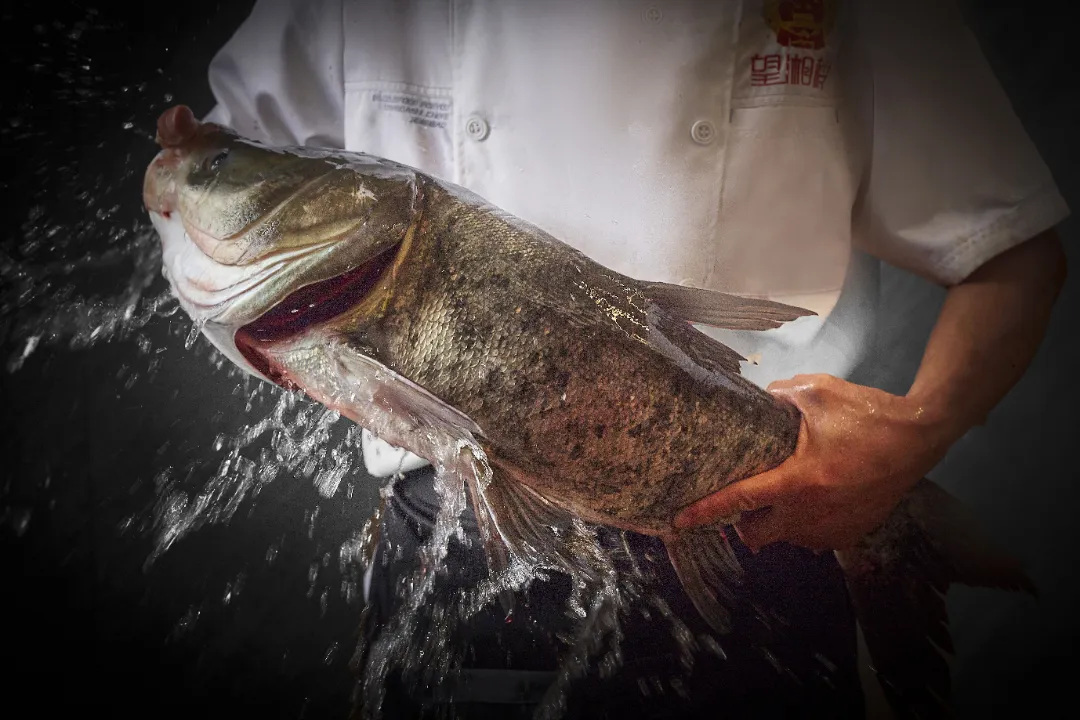 7de35a5bc764b5cccadedd6c58e10aca-sz_725445 7de35a5bc764b5cccadedd6c58e10aca-sz_725445