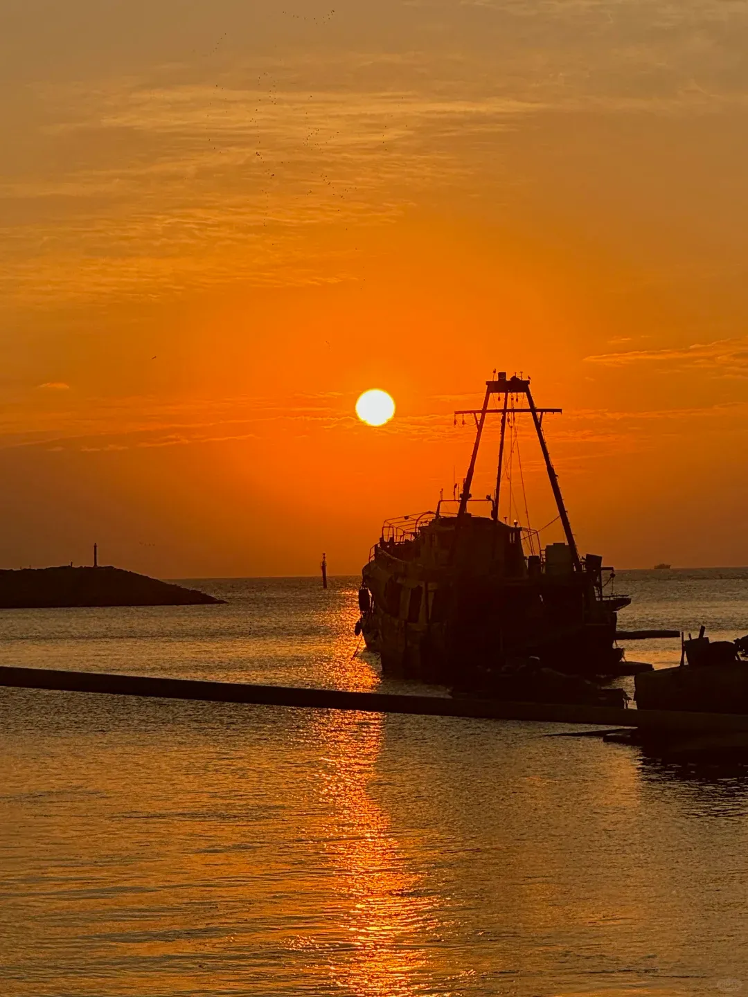 7df0b05ad68488780a46a5f0a5b7a1da-sz_1442806