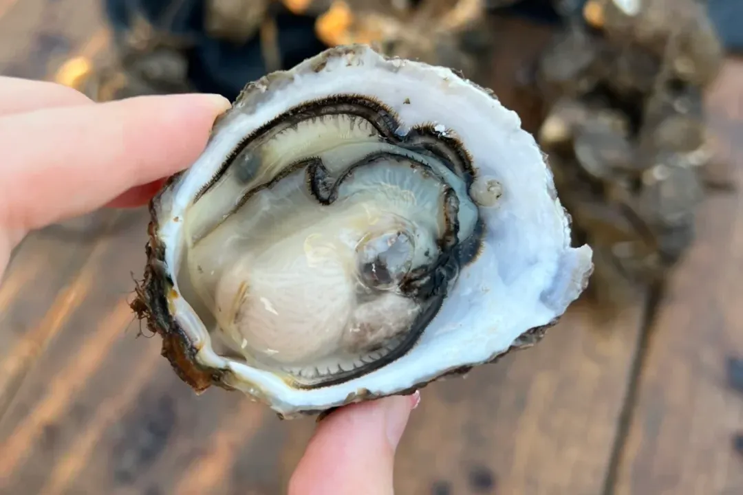 7e1eec299715215b1faf0c19c9563a67-sz_2338136-4