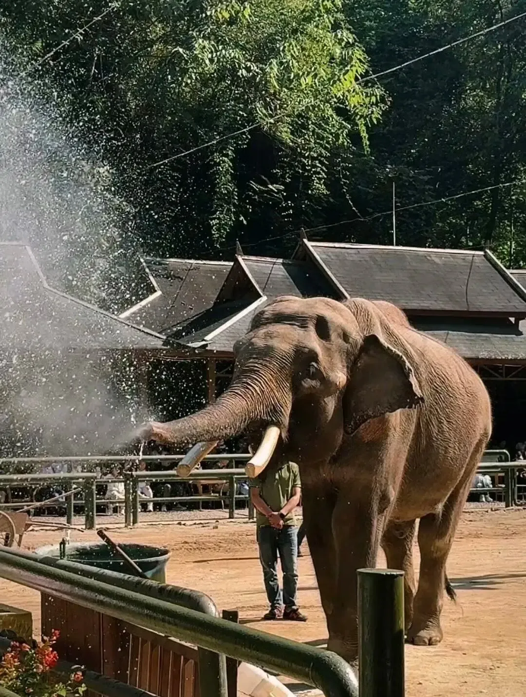 7e34f13881be96355150eb391339c11c-sz_3847966