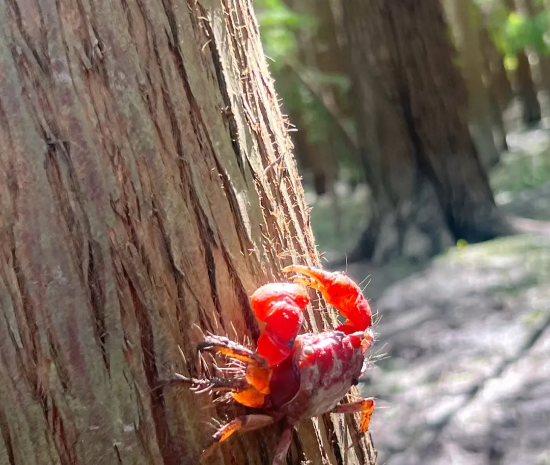 7e7ba3e2ffd0a957712030d3744b2da2-sz_1032356 7e7ba3e2ffd0a957712030d3744b2da2-sz_1032356