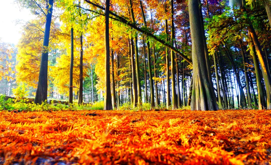 7e802f172d72ffaf759894addfb05ab9-sz_571301 7e802f172d72ffaf759894addfb05ab9-sz_571301