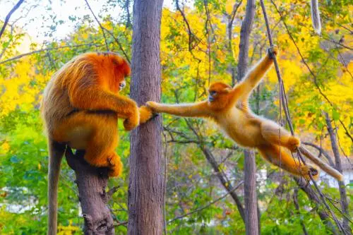 7e9414d07a38b671a7f5467b606a6b9a-sz_48125