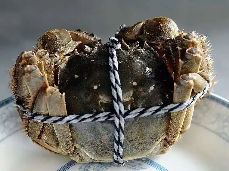 7ef240db066a2417ed8a88bf0df0b137-sz_67388-1 7ef240db066a2417ed8a88bf0df0b137-sz_67388-1