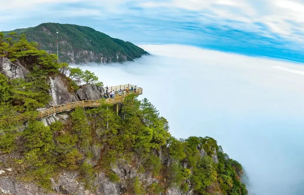 7ef7809996500f51b4324e44ce4f9943-sz_150727-1