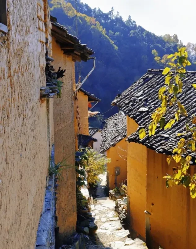 7f2708e60e34d522e363afc7adb9c59d-sz_964980 7f2708e60e34d522e363afc7adb9c59d-sz_964980