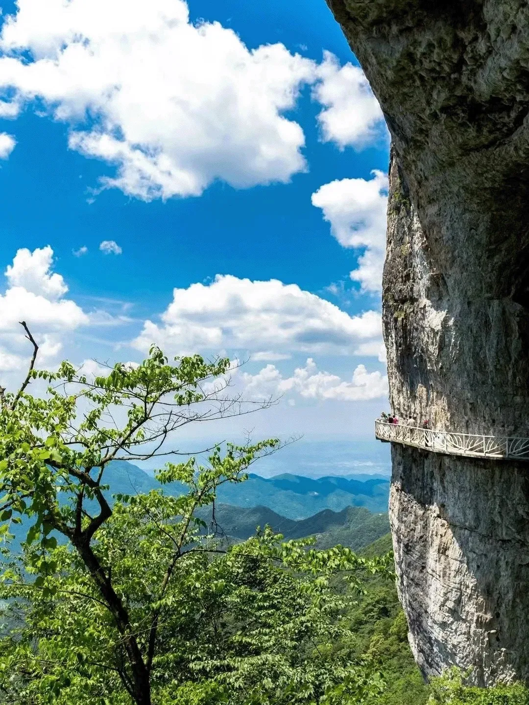 7f35d46fcd408b3eec714cf2bb6daffa-sz_636756