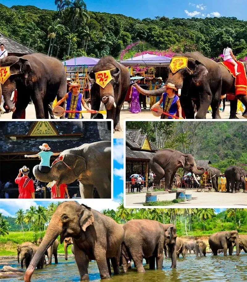 7f431384fee95c769164972745bf062a-sz_207729