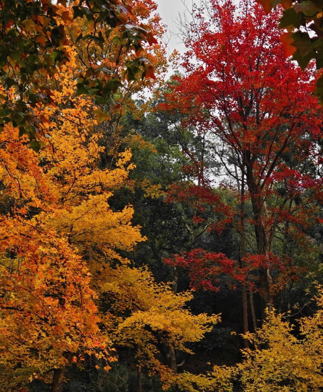 7f4f64728f217cce767c0657fe2f2b31-sz_2505201