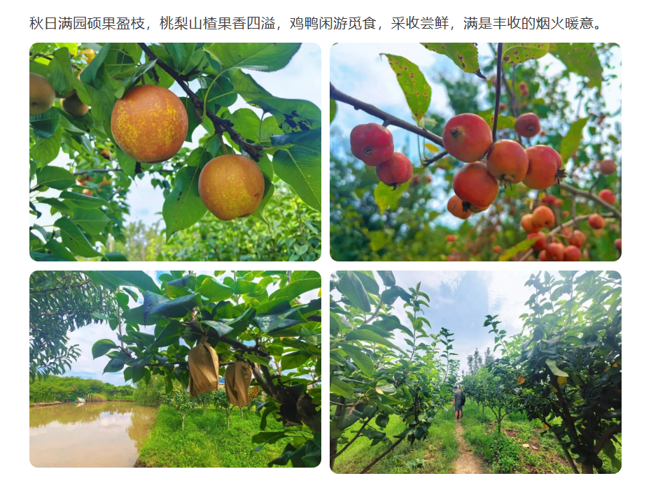 7fb3acaf9ed276099e63ec23b874d645