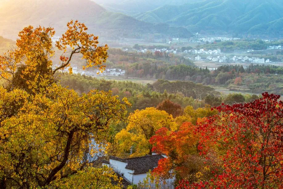 7fea414e5c20cecbe31a92e6614c2779-sz_1124729