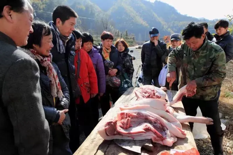 8009665d9b0db90a922baca1b6cedbe2-sz_633872 8009665d9b0db90a922baca1b6cedbe2-sz_633872