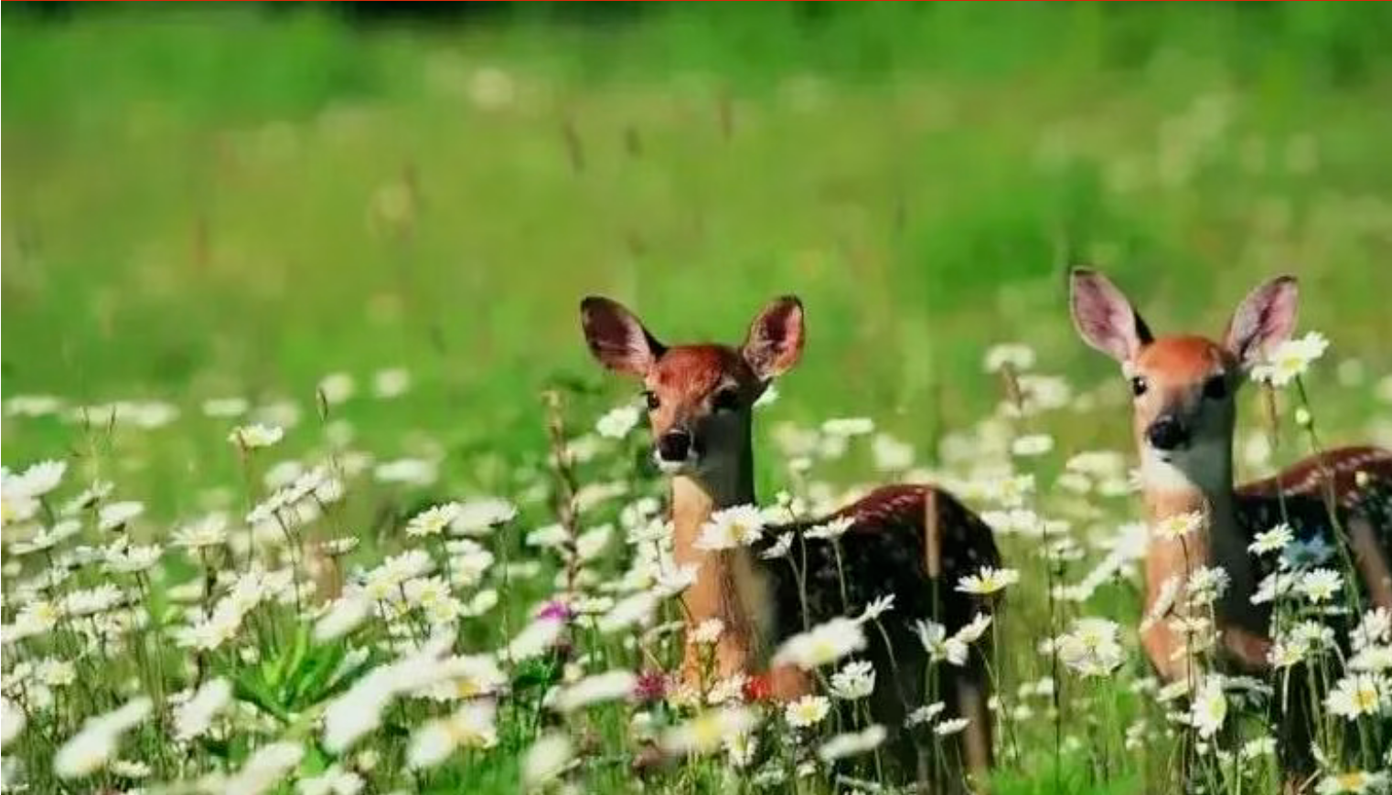 801255ae41653c732f8e52ff8699cbc8