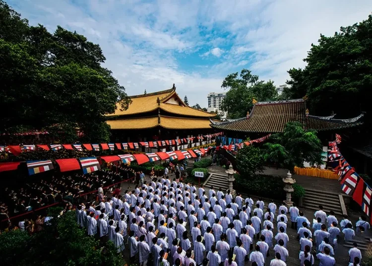 80199993084ddaecf0d7ea7254b82f96-sz_501221